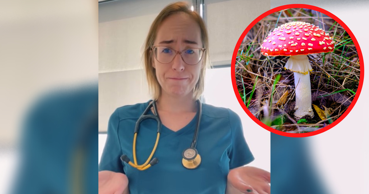 Celebrycka moda na jedzenie trujących grzybów. Lekarze załamują ręce